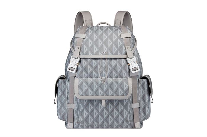 Dior Hit The Road Backpack Gray CD Diamond Canvas – DB014