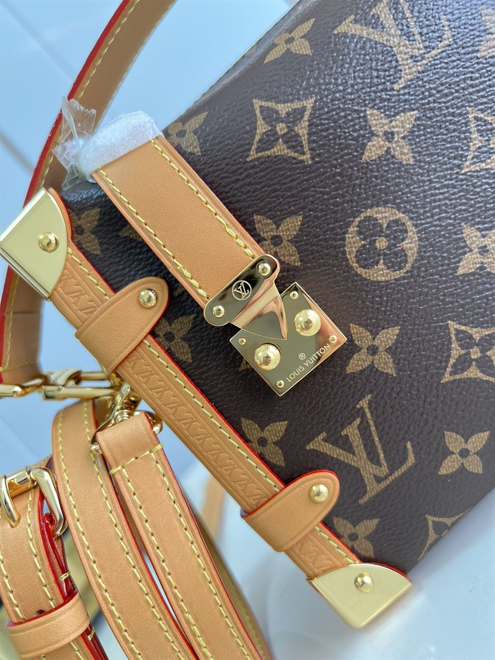 Side Trunk PM handbag Monogram canvas – LB009