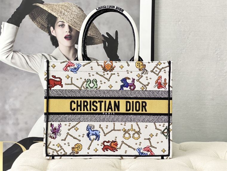 Dior Book Tote latte multicolor Dior Pixel Zodiac – DB005