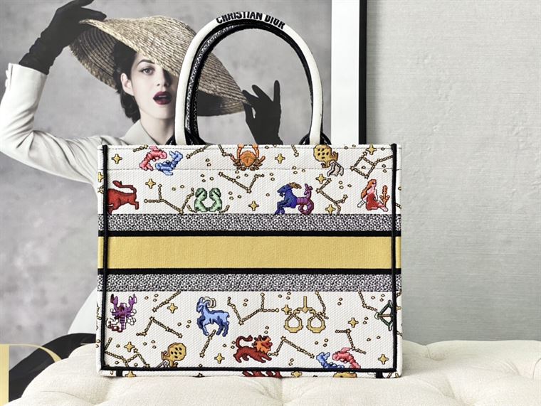 Dior Book Tote latte multicolor Dior Pixel Zodiac – DB005