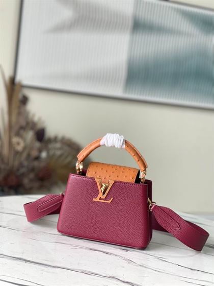 Capucines Mini handbag Griotte Red Honey – LB038