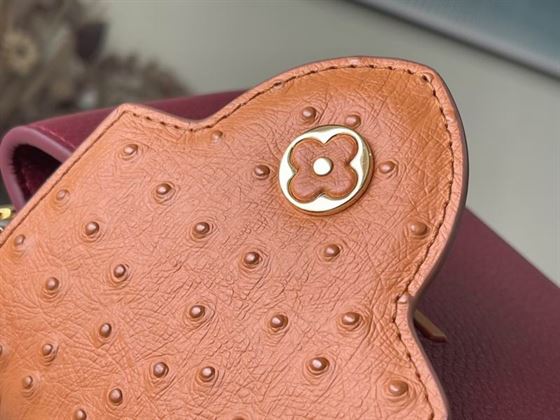 Capucines Mini handbag Griotte Red Honey – LB038