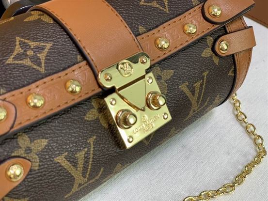 Papillon Trunk handbag Monogram coated canvas – LB052