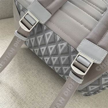 Rider backpack Dior gray CD Diamond canvas – DB026