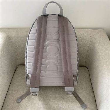 Rider backpack Dior gray CD Diamond canvas – DB026