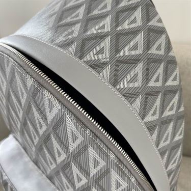 Rider backpack Dior gray CD Diamond canvas – DB026
