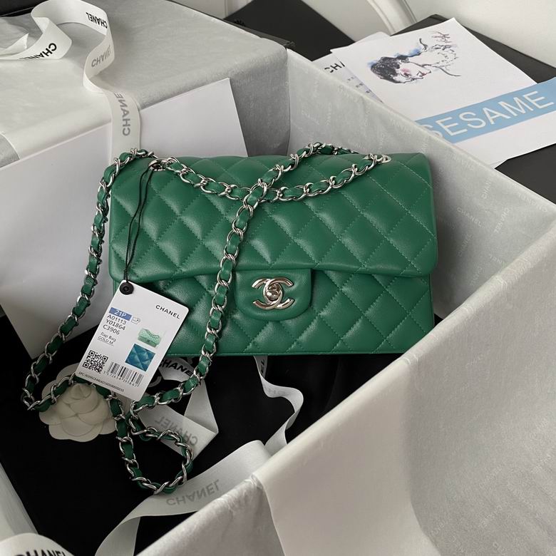 Chanel Small Classic Double Flap Bag Green Lambskin – CB030
