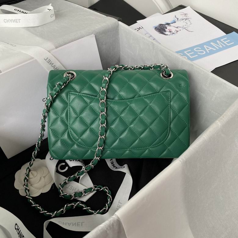 Chanel Small Classic Double Flap Bag Green Lambskin – CB030