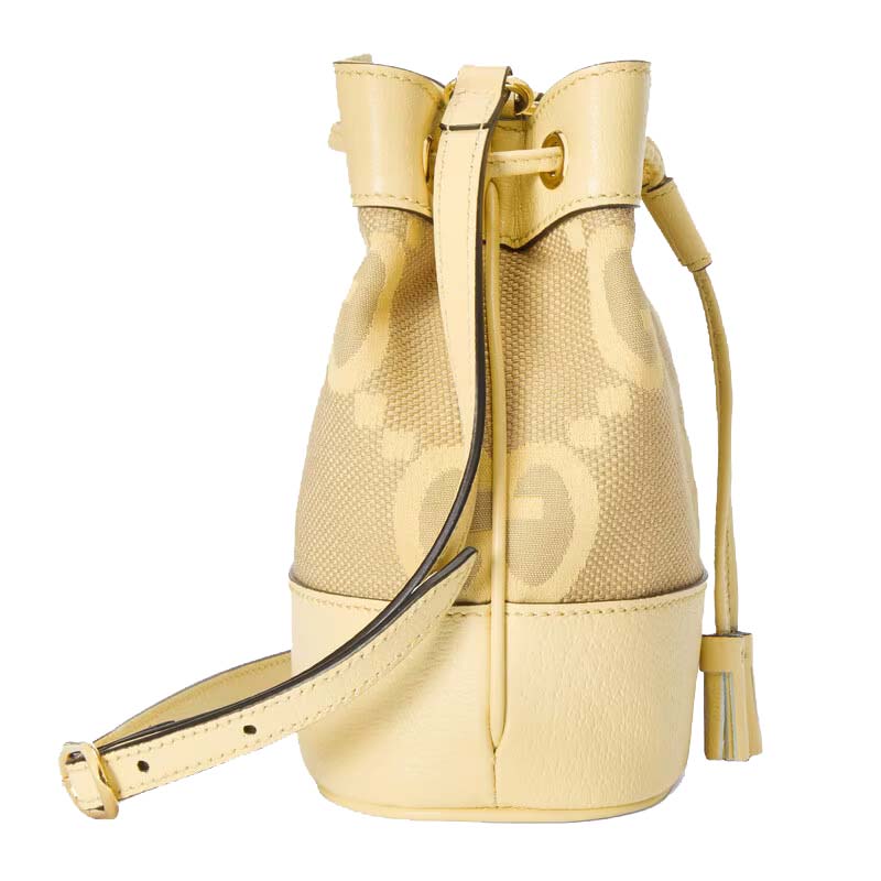 Ophidia jumbo GG mini bucket bag – GB187