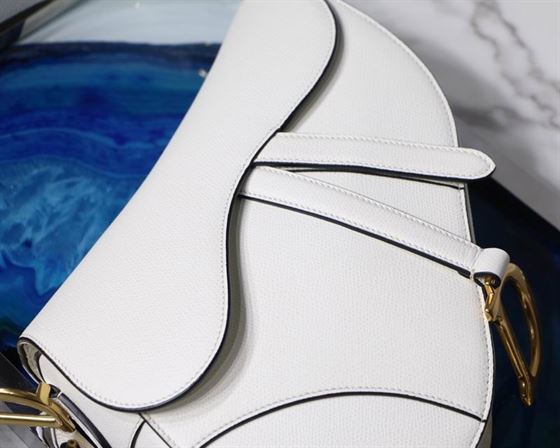 Saddle Bag With Strap Latte Grained Calfskin – DB070