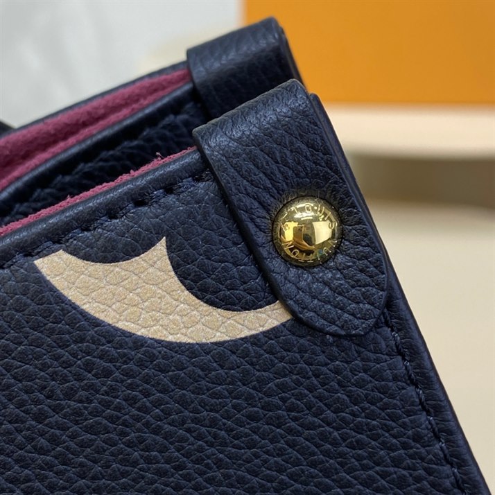 Louis Vuitton Onthego PM Tote Bag – LB171