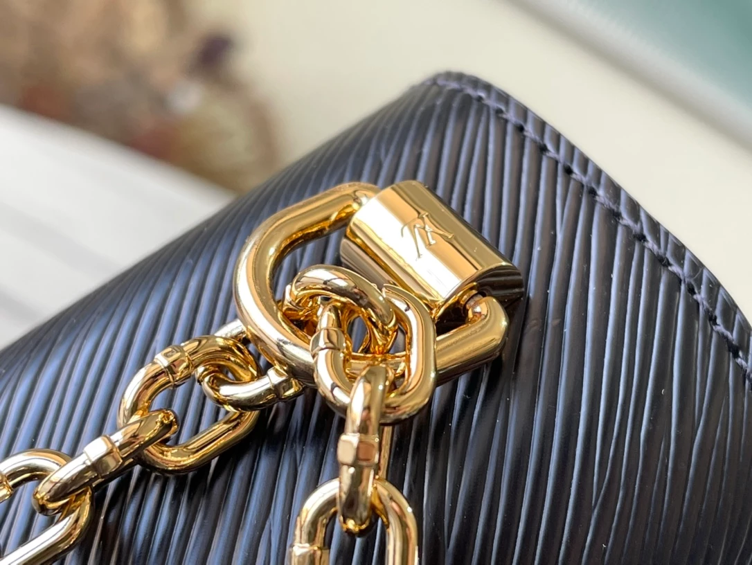 Louis Vuitton Twist PM Bag – LB259