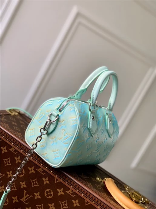 Speedy Bandoulière 20 Bag – LB218