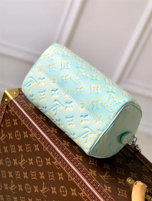 Speedy Bandoulière 20 Bag – LB218