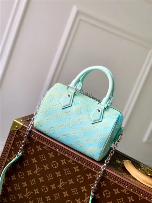 Speedy Bandoulière 20 Bag – LB218