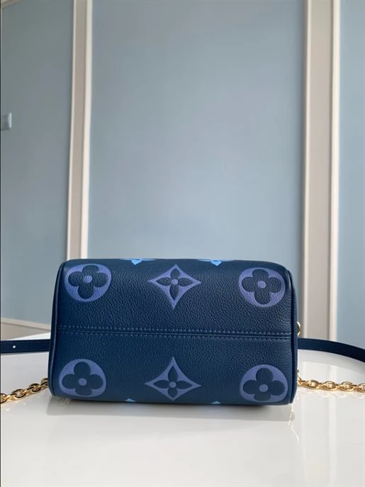 Speedy Bandoulière 20 Bag – LB219