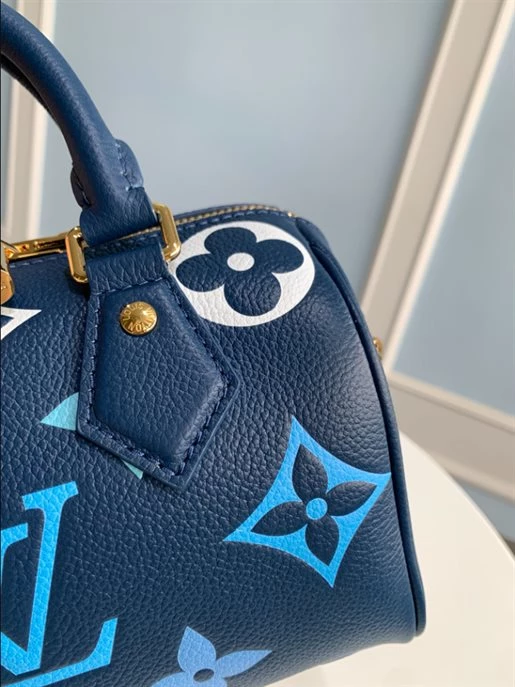 Speedy Bandoulière 20 Bag – LB219