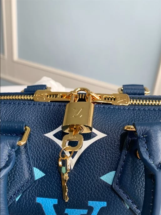 Speedy Bandoulière 20 Bag – LB219