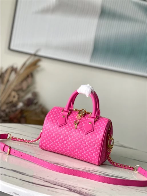 Speedy Bandoulière 20 Fashion Leather – LB214