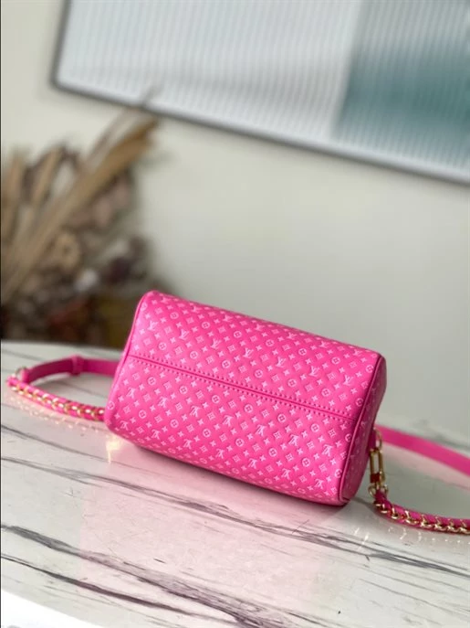 Speedy Bandoulière 20 Fashion Leather – LB214