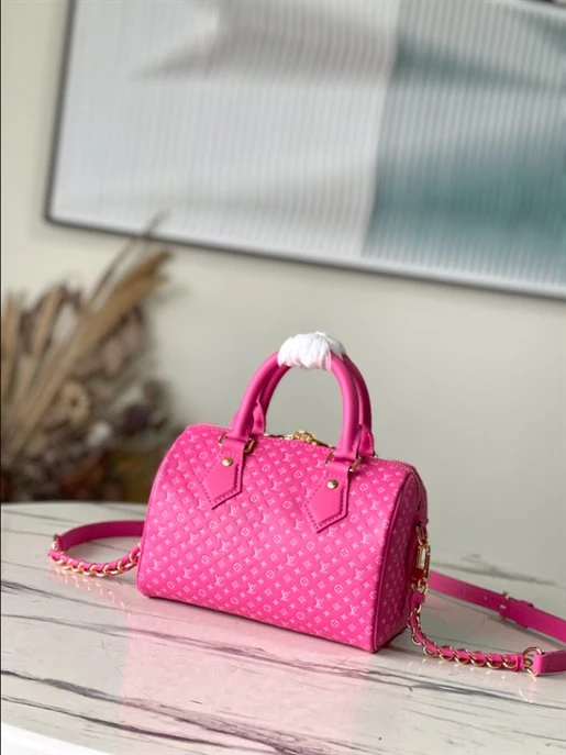 Speedy Bandoulière 20 Fashion Leather – LB214