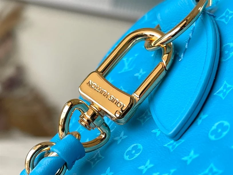 Speedy Bandoulière 20 Fashion Leather – LB215