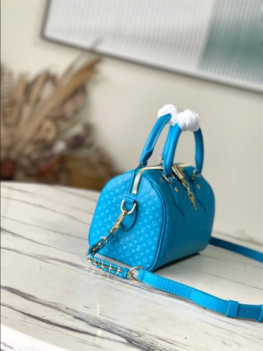 Speedy Bandoulière 20 Fashion Leather – LB215