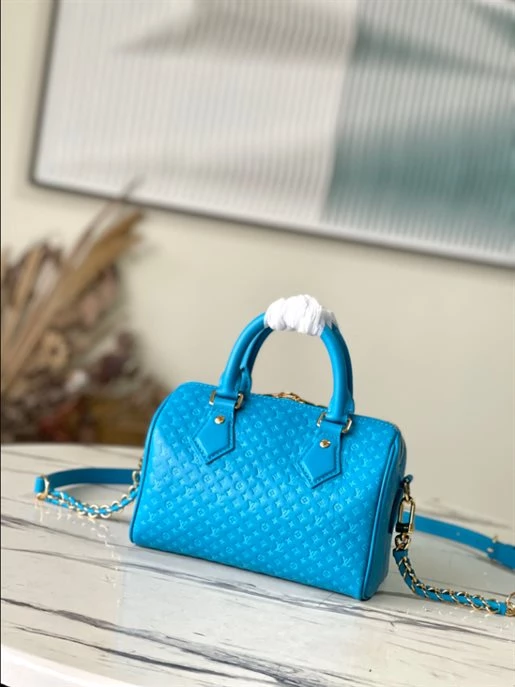 Speedy Bandoulière 20 Fashion Leather – LB215