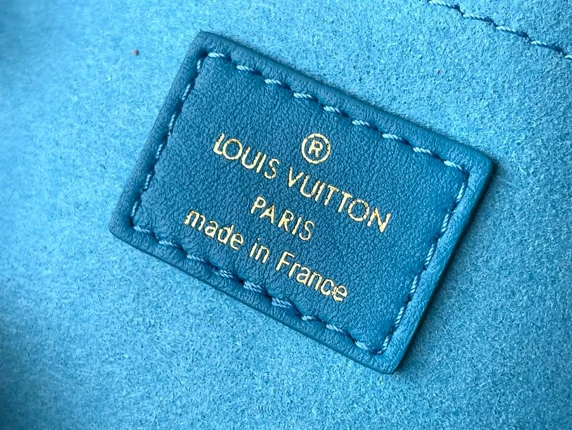 Speedy Bandoulière 20 Fashion Leather – LB215