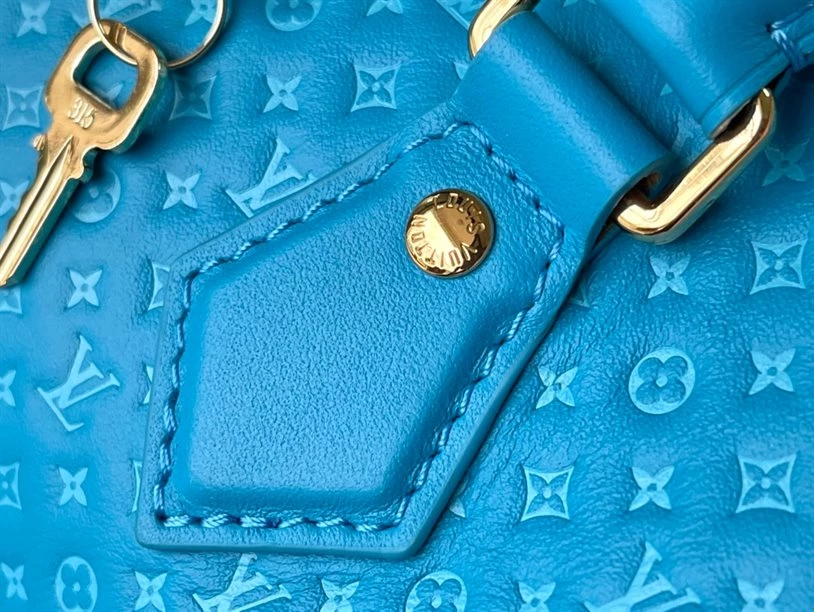 Speedy Bandoulière 20 Fashion Leather – LB215