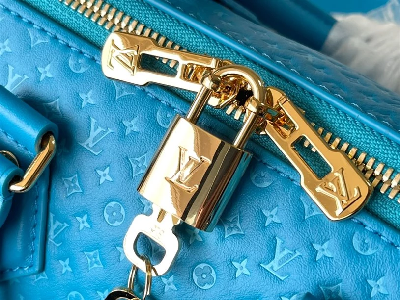 Speedy Bandoulière 20 Fashion Leather – LB215
