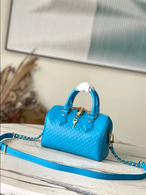 Speedy Bandoulière 20 Fashion Leather – LB215