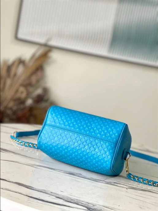 Speedy Bandoulière 20 Fashion Leather – LB215