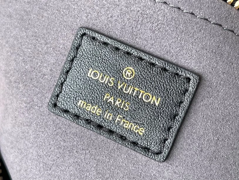 Speedy Bandoulière 20 Fashion Leather – LB216