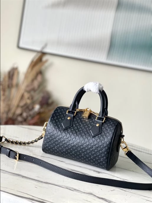 Speedy Bandoulière 20 Fashion Leather – LB216