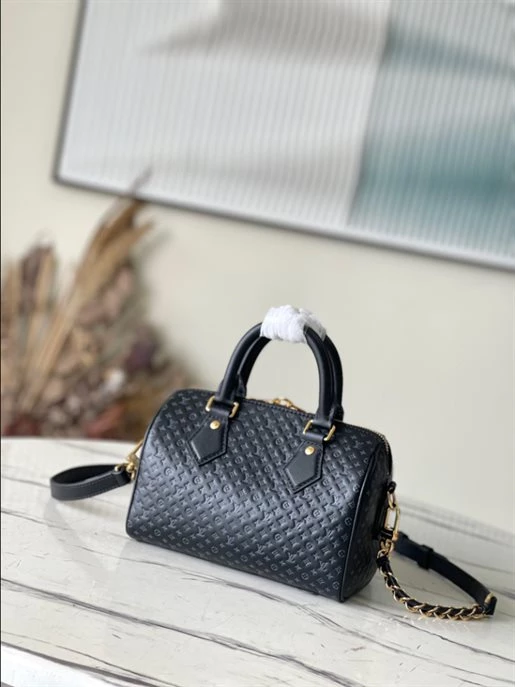 Speedy Bandoulière 20 Fashion Leather – LB216