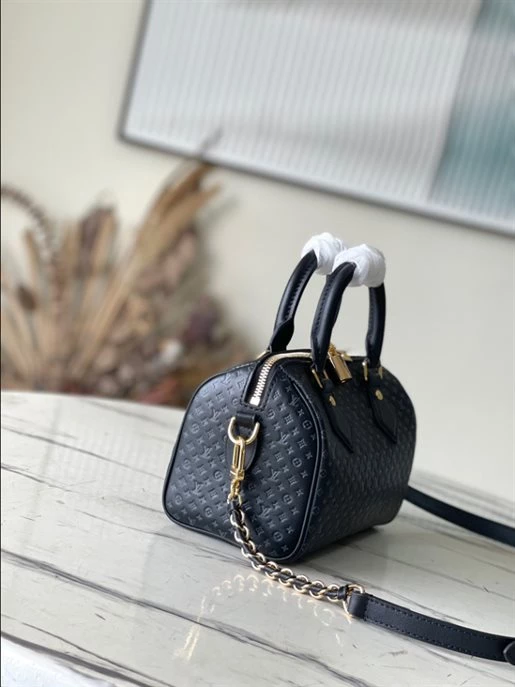 Speedy Bandoulière 20 Fashion Leather – LB216