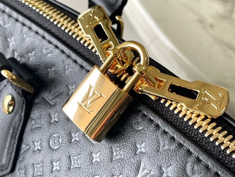 Speedy Bandoulière 20 Fashion Leather – LB216