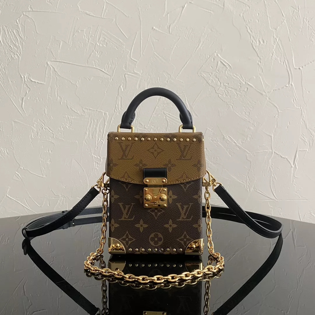LV Camera Monogram Box Bag