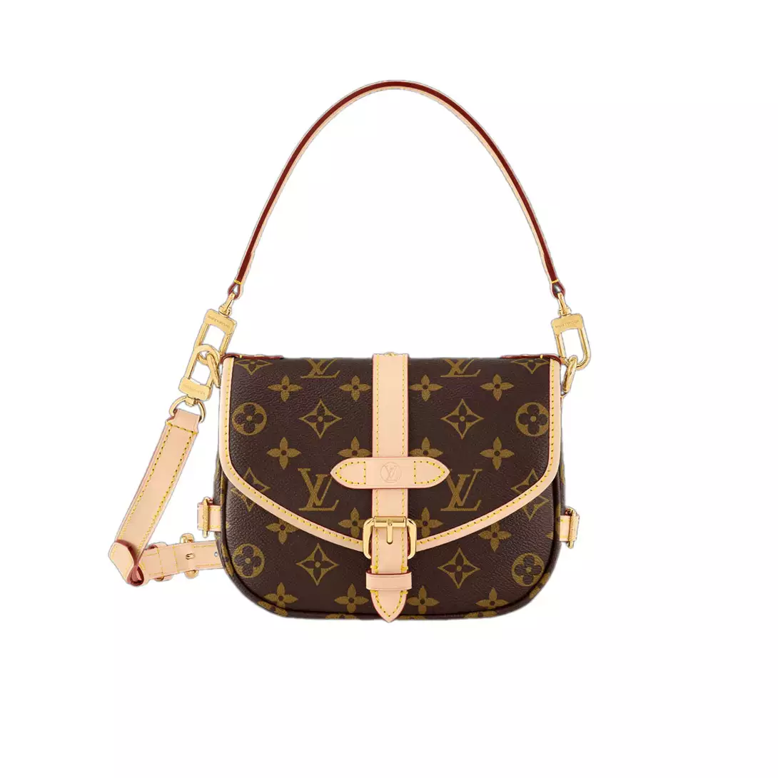 LV Saumur BB Monogram Bag