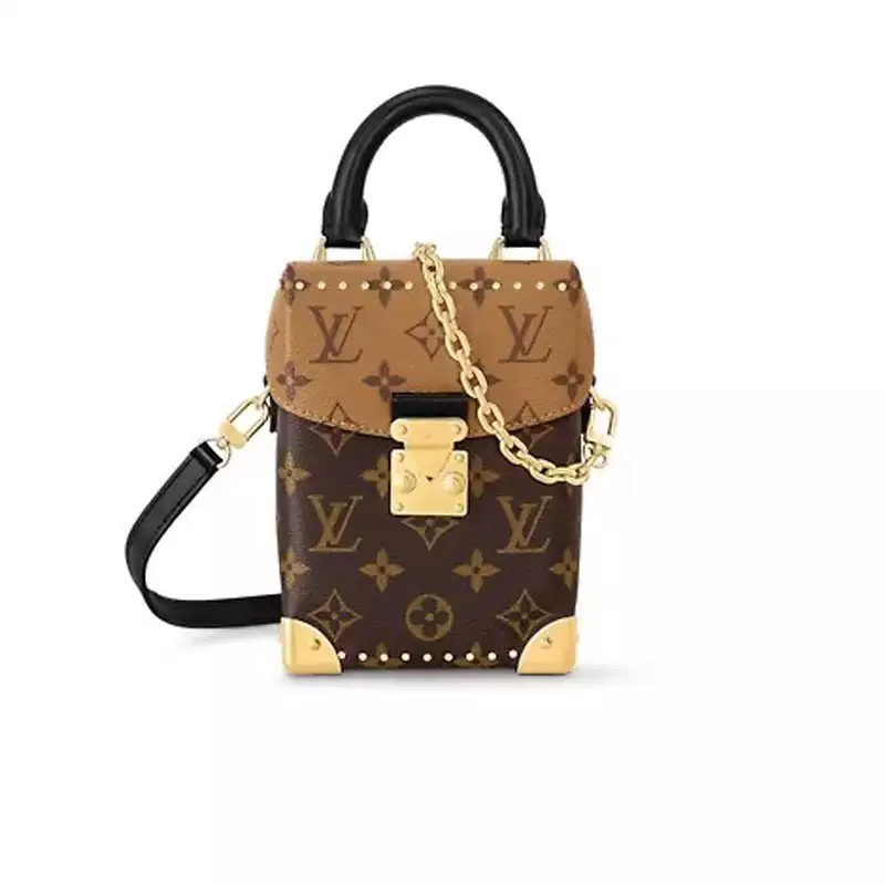 LV Camera Monogram Box Bag
