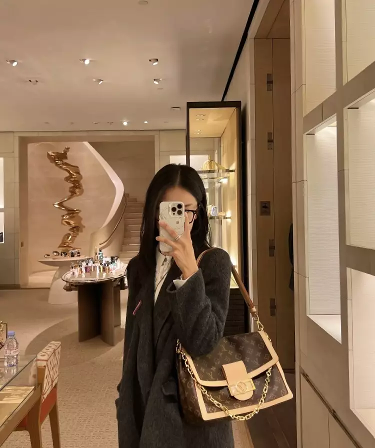 LV Dauphine Soft GM Monogram Canvas Brown