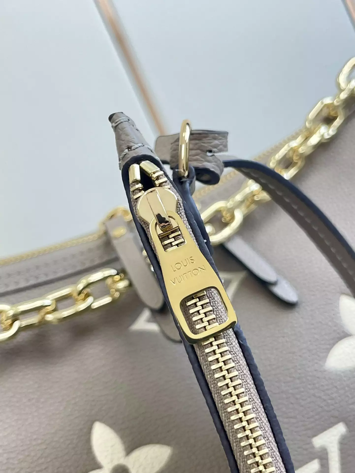 Loop Hobo Bicolor Monogram Empreinte Leather