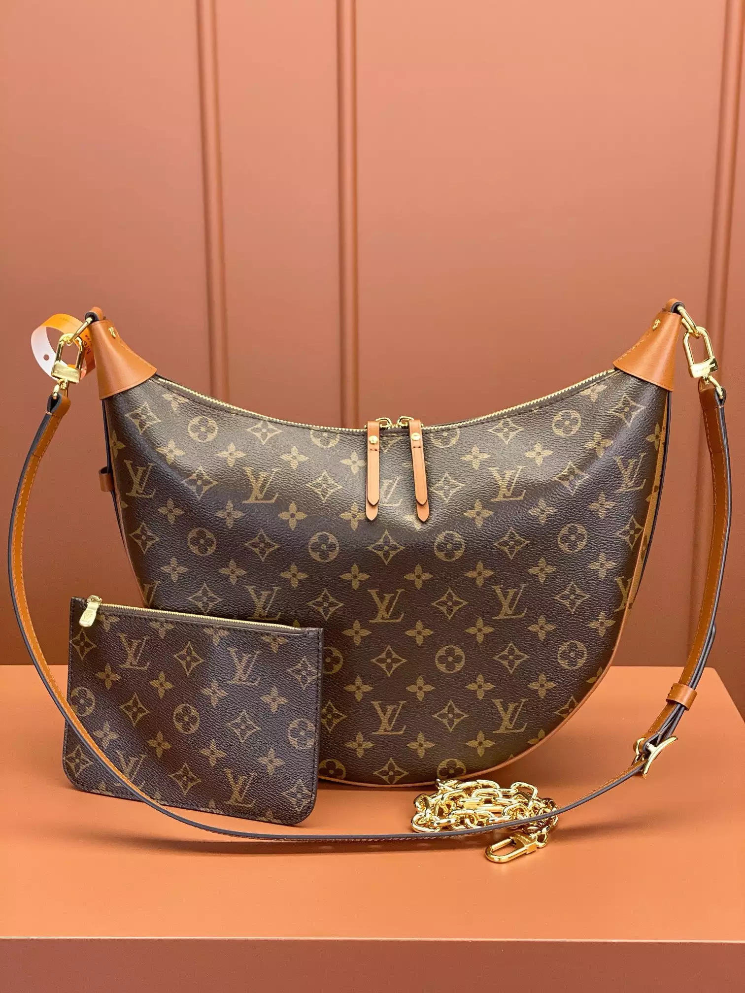 Loop Hobo Monogram and Monogram Reverse Coated Canvas