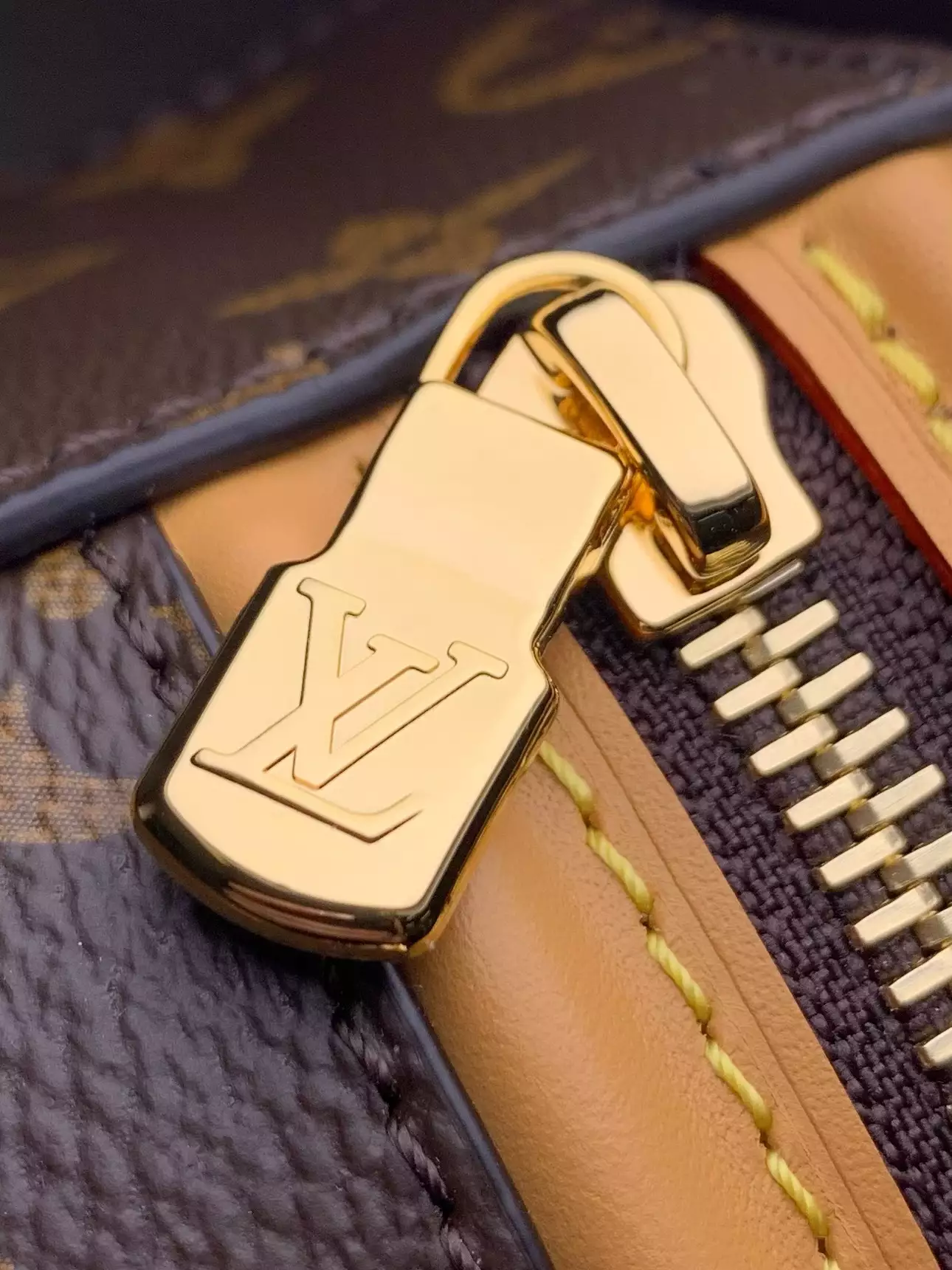 Louis Vuitton Nano Cannes Monogram Brown