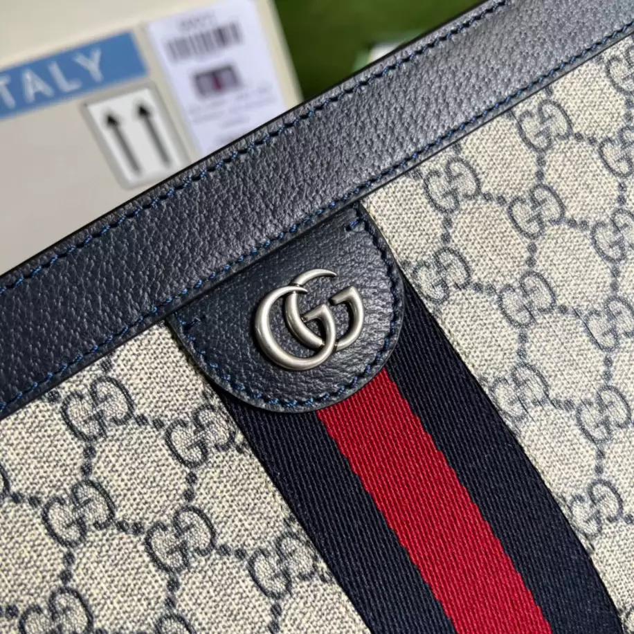 Ophidia GG Small Shoulder Bag – GB299