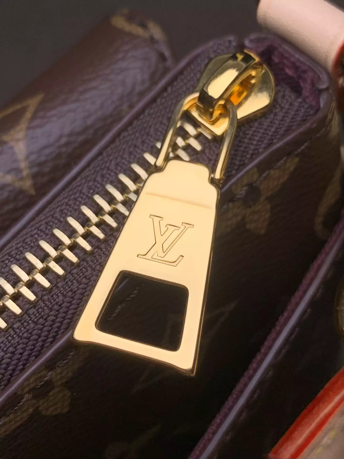 Vibe Monogram Coated Canvas
