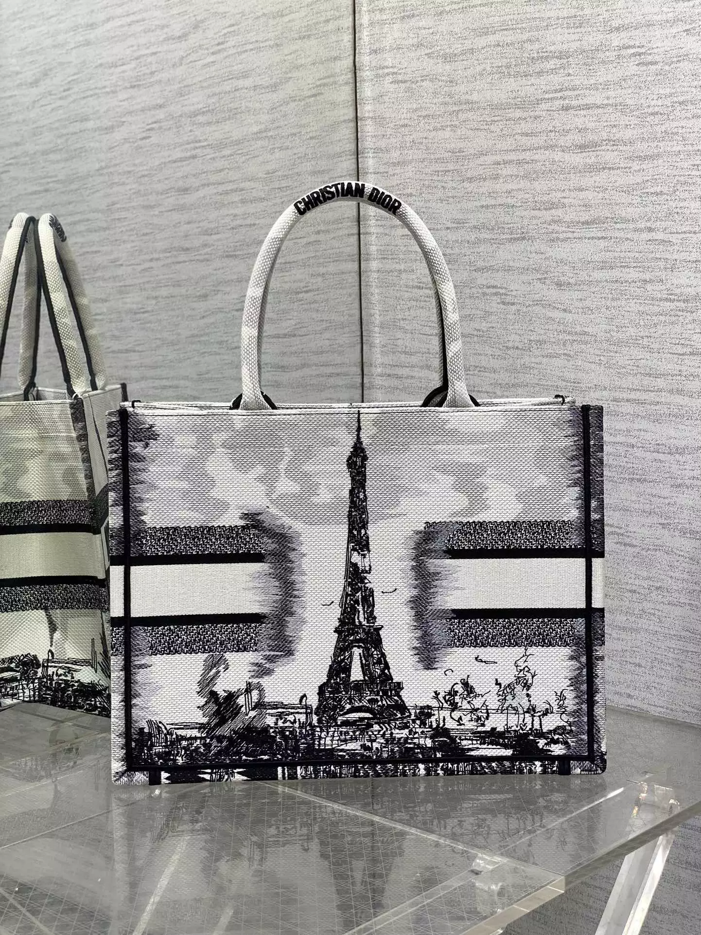 Medium Dior Book Tote White and Black Paris Embroidery