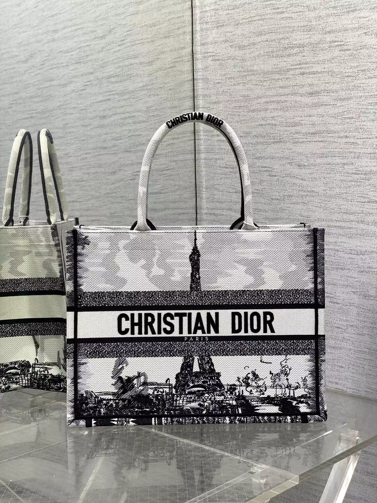 Medium Dior Book Tote White and Black Paris Embroidery